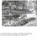 Le glacis 1905